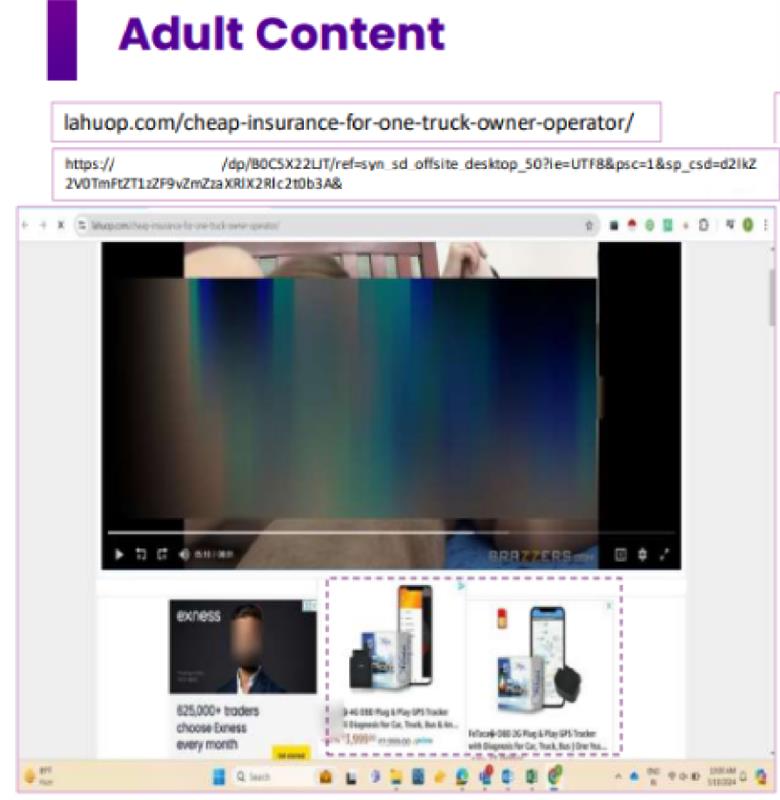 Ads Placed on adult sites